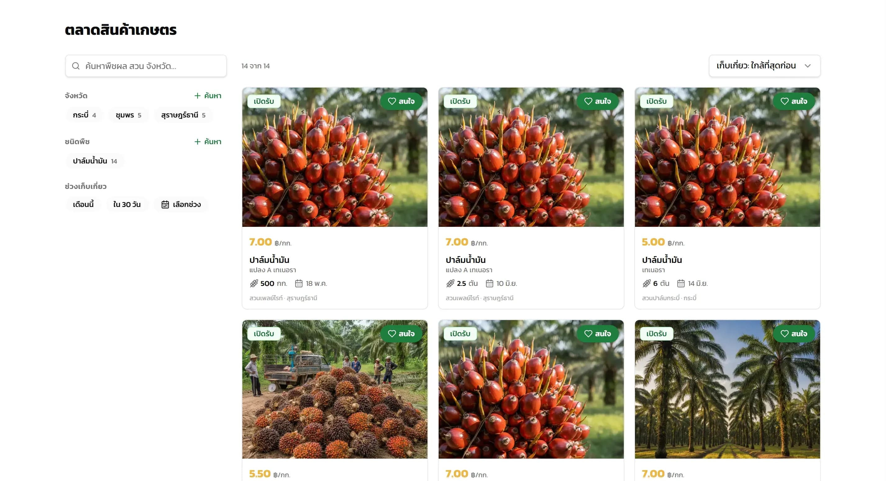 ตลาดรับซื้อ HarvestPro แสดงประกาศขายปาล์มน้ำมันพร้อมเกรดและราคาต่อกิโลกรัม
